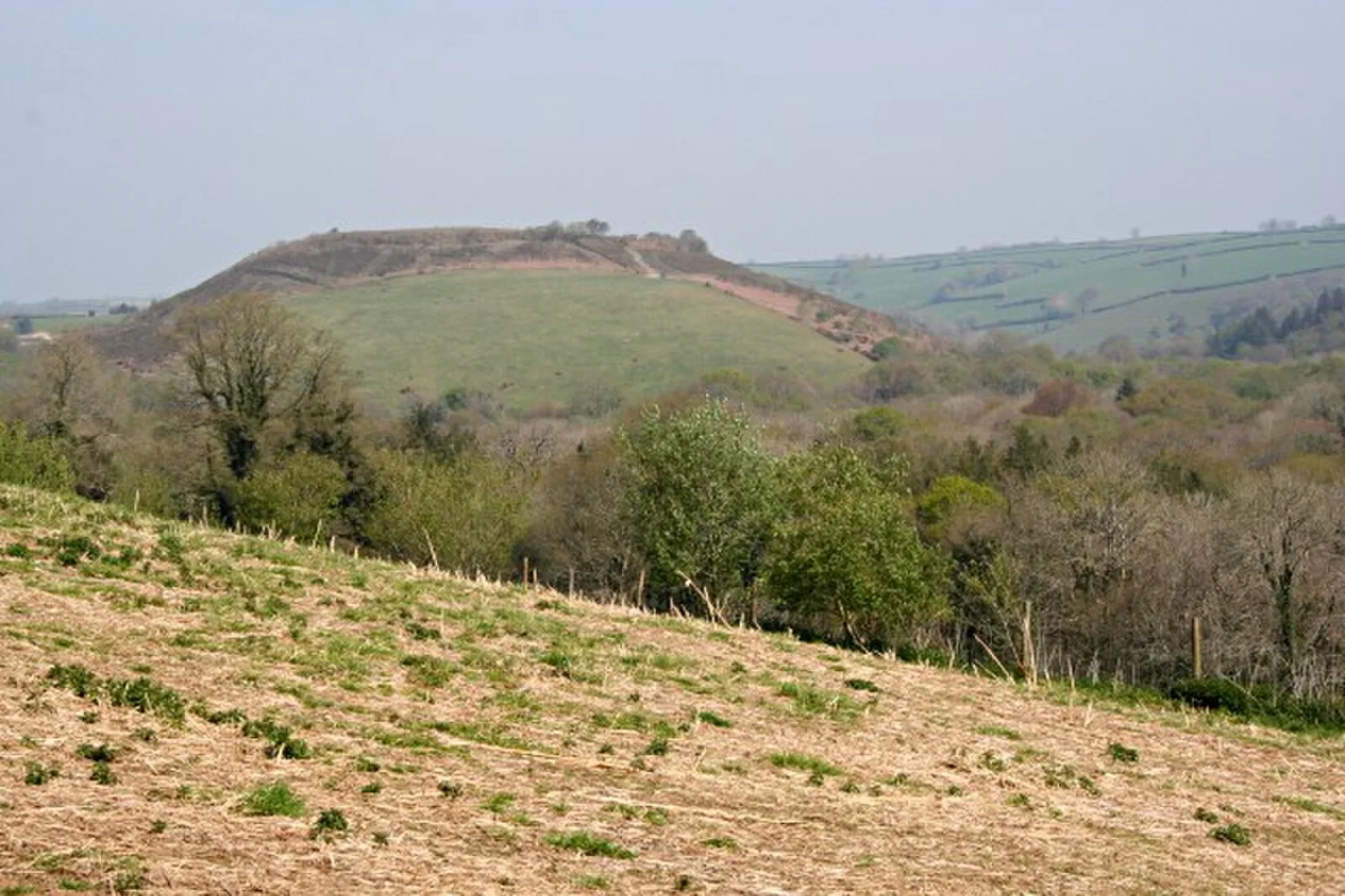 Cadson Bury